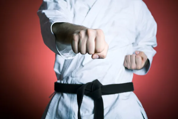 depositphotos 5672315 stock photo karate punch